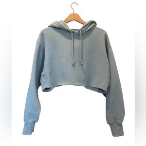 Aritzia Tna Hoodie Blue Cropped Cozy AF Size 2